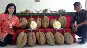 Peluang Usaha Jualan duren Pinggir jalan