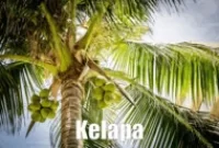 Manfaat Kelapa Serta Nilai Ekonomisnya